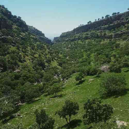 فاطمه رضایی یکسال برفت سال نو امد یکسال چنان تندی برفت